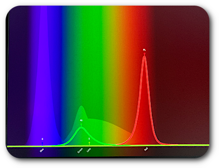IL SISTEMA DI GESTIONE DEL
COLORE ETC