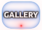 FOTO GALLERY