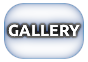 FOTO GALLERY